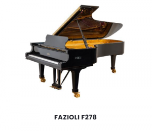 Fazioli 2