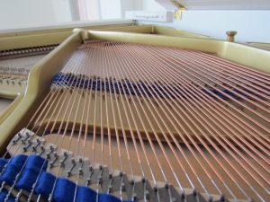 IMG_7782