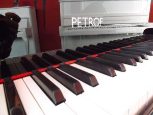 Petrof III 004